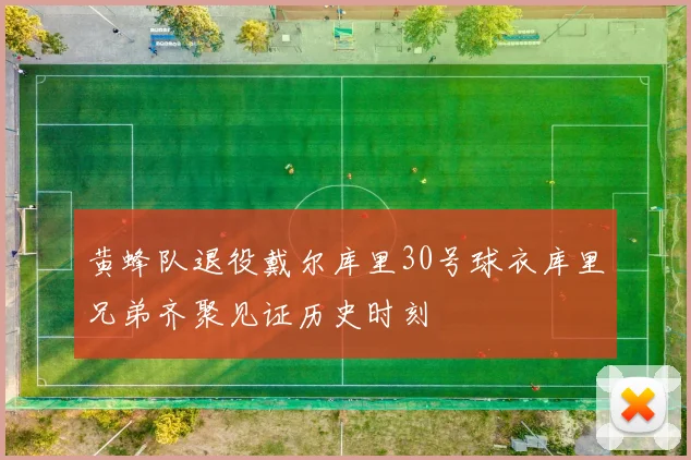 黄蜂队退役戴尔库里30号球衣库里兄弟齐聚见证历史时刻